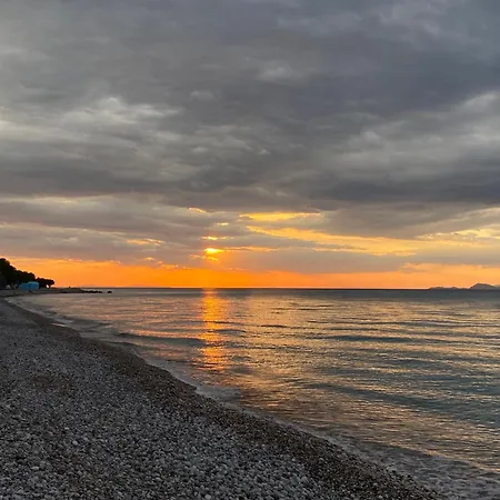 Lotus Luxury Κρεμαστή